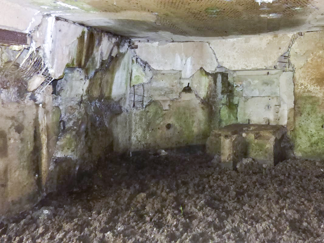 Ligne Maginot - B790 - CHANT DES OISEAUX - (Blockhaus pour canon) - 