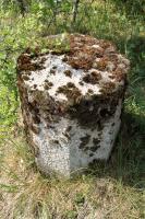 Ligne Maginot - PETERSBERG OUEST - C39 - (Casemate d'infanterie - Simple) - Borne délimitant l'emprise de la casemate