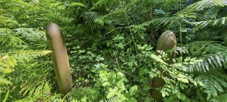 Ligne Maginot - 223 - (Barrage de Route) - Vestiges du barrage de route