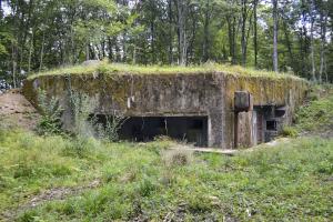 Ligne Maginot - BASSE PARTHE OUEST - C45 - (Casemate d'infanterie - Simple) - 