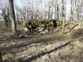 Ligne Maginot - BASSE PARTHE OUEST - C45 - (Casemate d'infanterie - Simple) - La casemate après débroussaillage