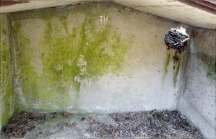 Ligne Maginot - BASSE PARTHE EST - C46 - (Casemate d'infanterie - Simple) - Intérieur de la niche