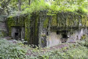 Ligne Maginot - BOUST - C44 - (Casemate d'infanterie - Simple) - 