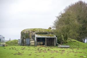 Ligne Maginot - B802 - LE PACHY - (Blockhaus pour canon) - 