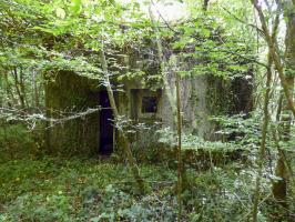 Ligne Maginot - B808 - BOIS DES AISEMENTS - (Blockhaus pour canon) - Le blockhaus