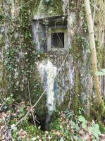 Ligne Maginot - B808 - BOIS DES AISEMENTS - (Blockhaus pour canon) - L'embrasure FM latérale gauche (entrée)