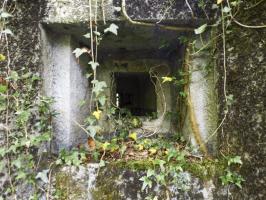 Ligne Maginot - B808 - BOIS DES AISEMENTS - (Blockhaus pour canon) - Couloir d'entrée
Embrasure FM latérale droite
