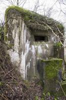 Ligne Maginot - B810 - MARIGOT - (Blockhaus pour canon) - 