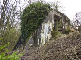 Ligne Maginot - B810 - MARIGOT - (Blockhaus pour canon) - 