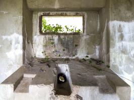 Ligne Maginot - B810 - MARIGOT - (Blockhaus pour canon) - 