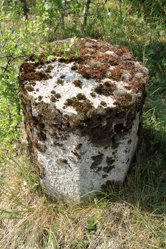 Ligne Maginot - PETERSBERG OUEST - C39 - (Casemate d'infanterie - Simple) - Borne délimitant l'emprise de la casemate - Michel Teiten