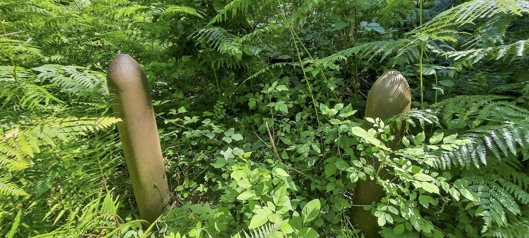 Ligne Maginot - 223 - (Barrage de Route) - Vestiges du barrage de route - Sebastien Bande