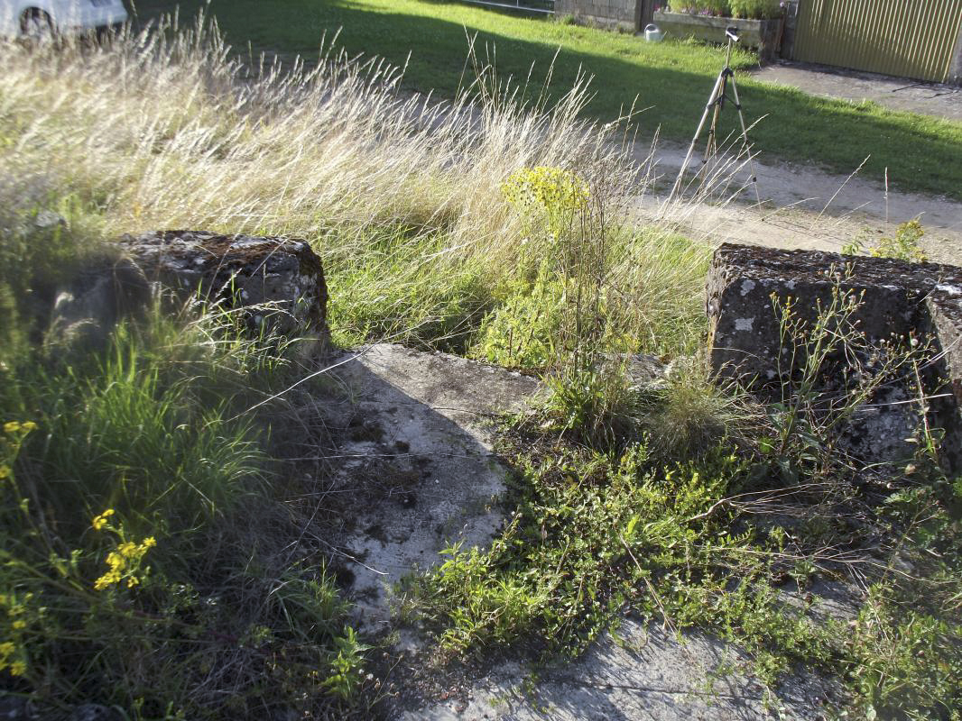 Ligne Maginot - LA FERTE - (Camp de sureté) - Vue depuis 'l'intérieur' vers la sortie - David HARMAND