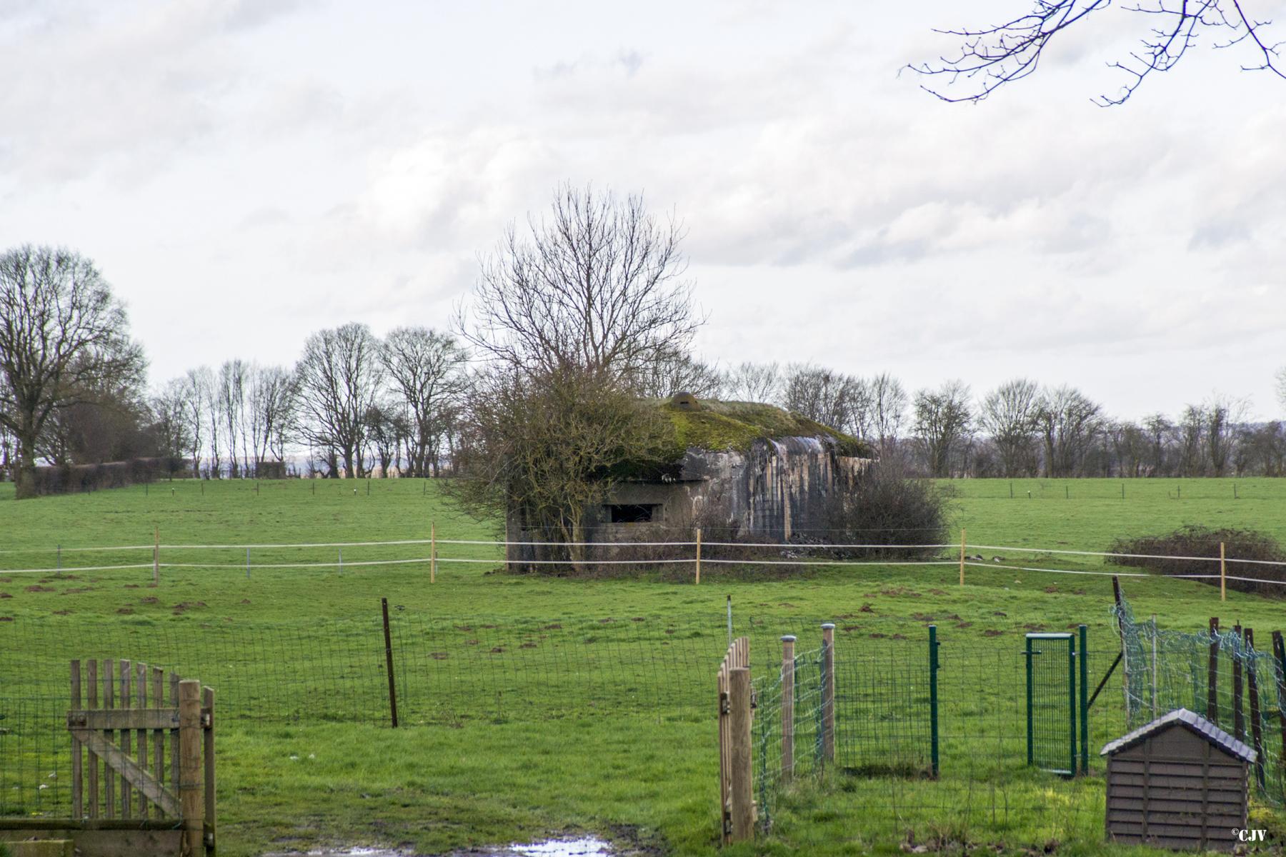 Ligne Maginot - B801 - LES CULEES NORD - (Blockhaus pour canon) -  - Lia VERMEULEN