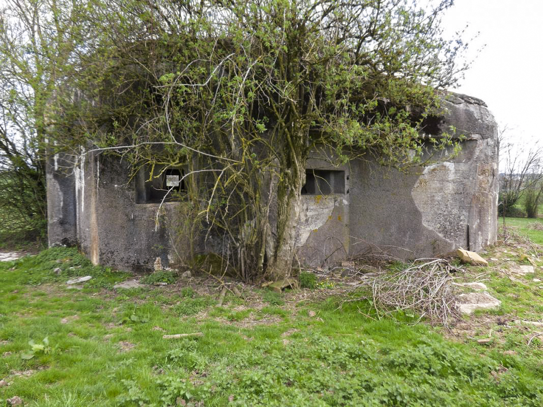 Ligne Maginot - B801 - LES CULEES NORD - (Blockhaus pour canon) -  - JMBrams