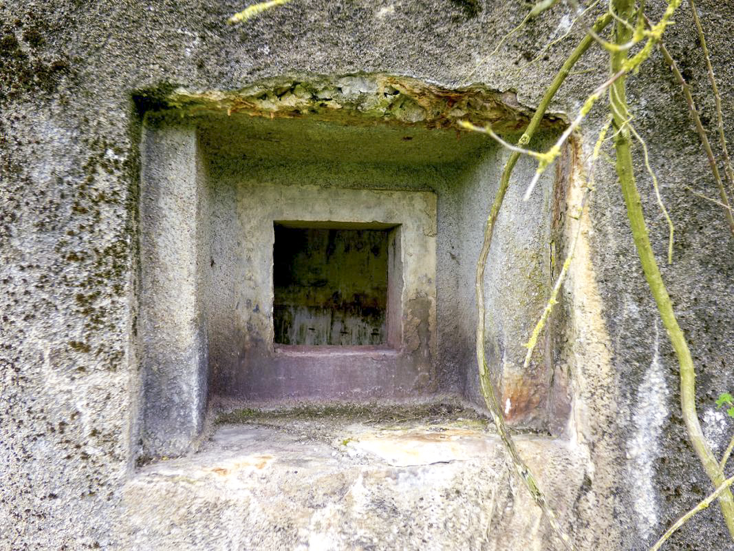 Ligne Maginot - B801 - LES CULEES NORD - (Blockhaus pour canon) -  - JMBrams