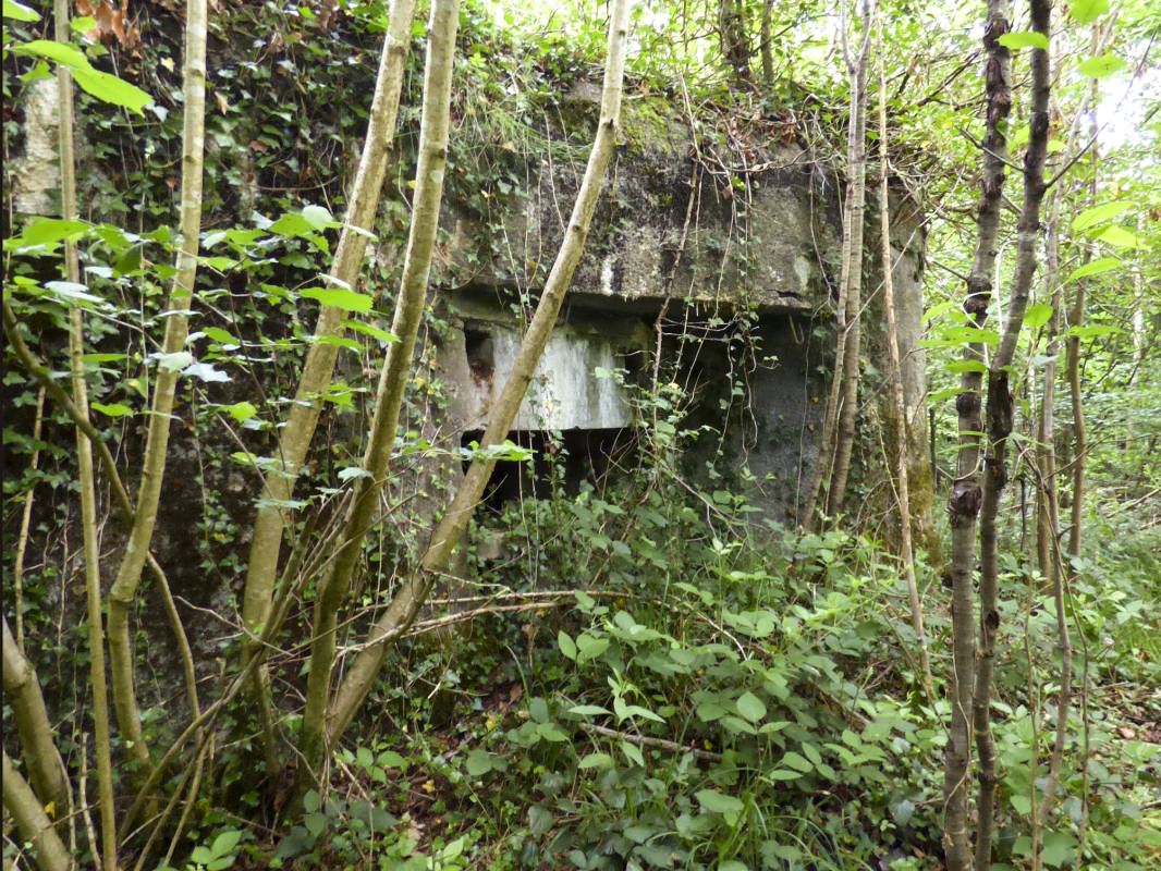 Ligne Maginot - B808 - BOIS DES AISEMENTS - (Blockhaus pour canon) - Le flanquement droit - JMBrams
