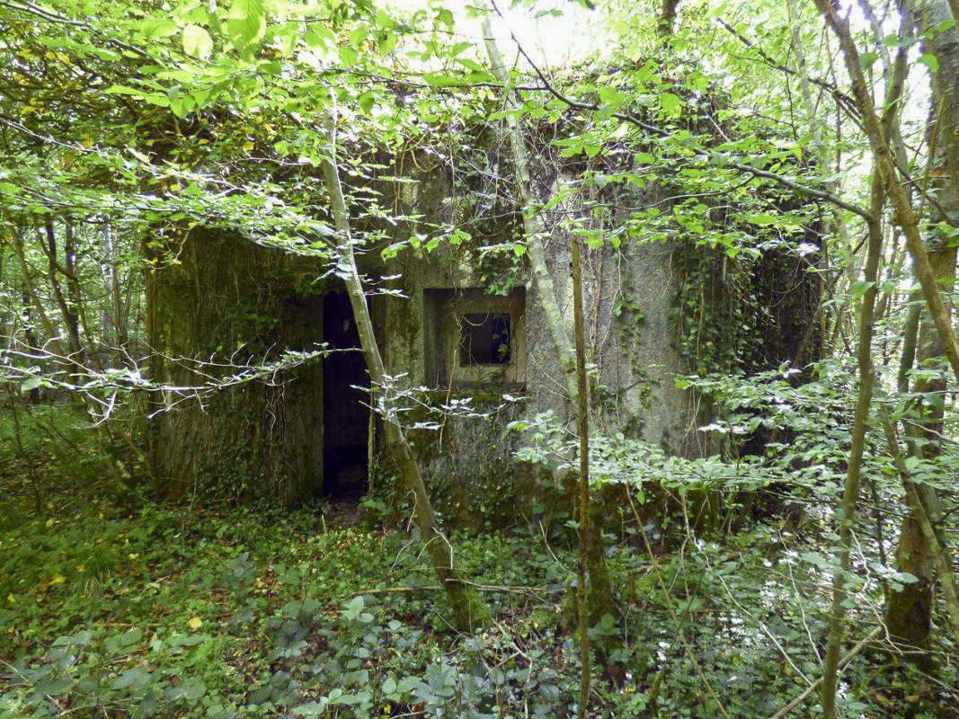 Ligne Maginot - B808 - BOIS DES AISEMENTS - (Blockhaus pour canon) - Le blockhaus