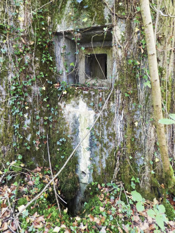 Ligne Maginot - B808 - BOIS DES AISEMENTS - (Blockhaus pour canon) - L'embrasure FM latérale gauche (entrée)