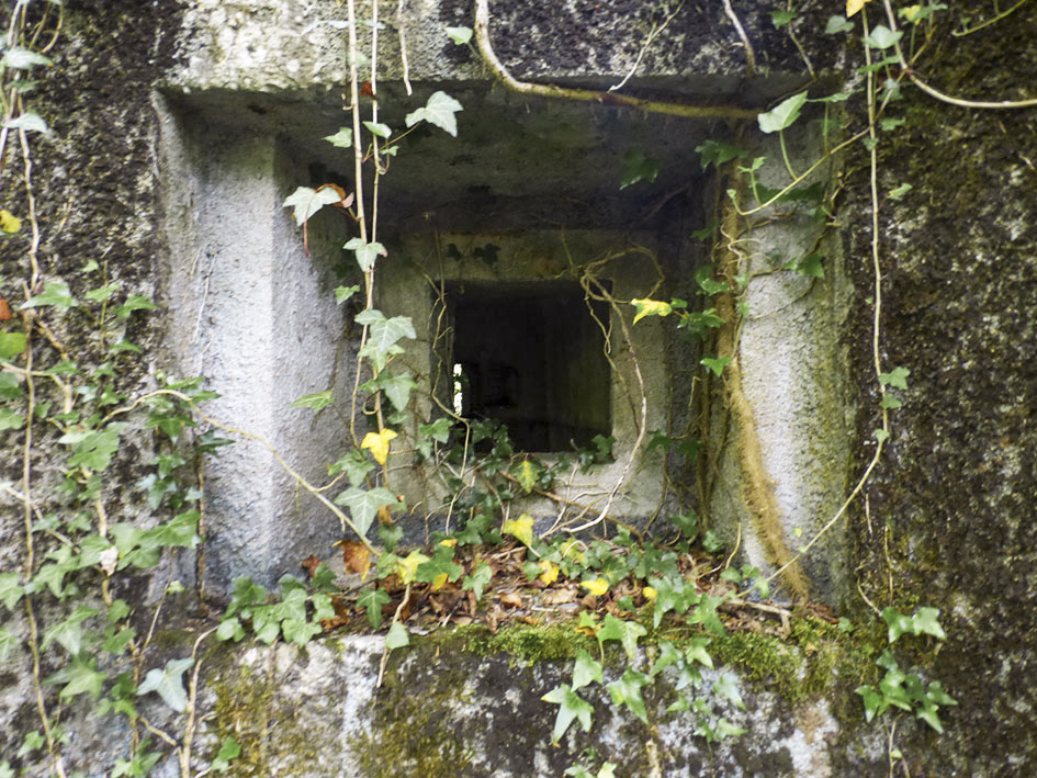 Ligne Maginot - B808 - BOIS DES AISEMENTS - (Blockhaus pour canon) - Couloir d'entrée
Embrasure FM latérale droite
