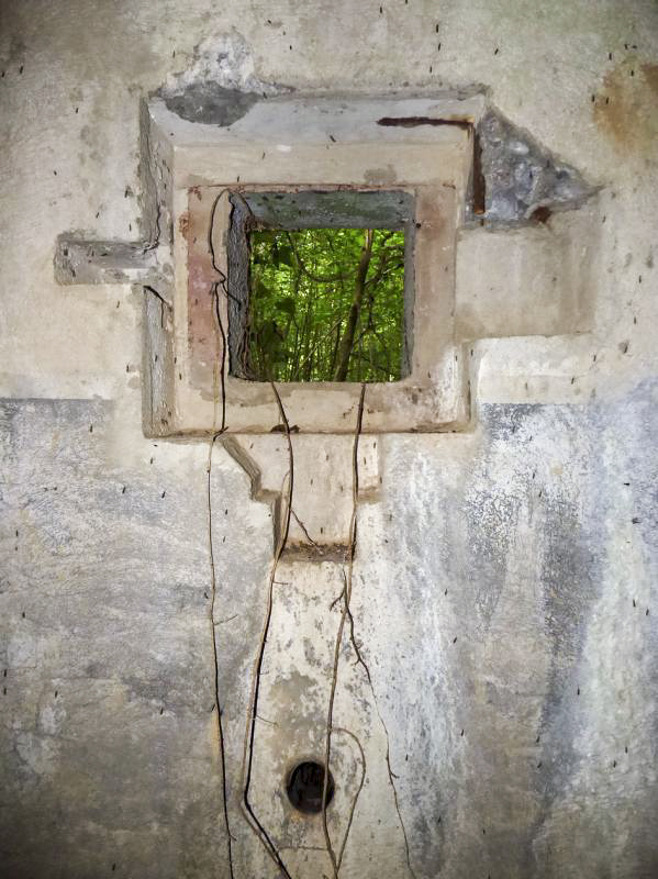Ligne Maginot - B808 - BOIS DES AISEMENTS - (Blockhaus pour canon) - Couloir d'entrée
Embrasure FM - Défense de l'entrée