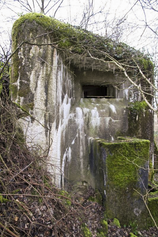 Ligne Maginot - B810 - MARIGOT - (Blockhaus pour canon) -  - Alain Perouffe
