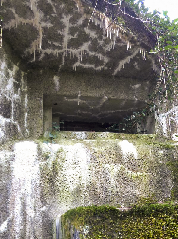 Ligne Maginot - B810 - MARIGOT - (Blockhaus pour canon) - 