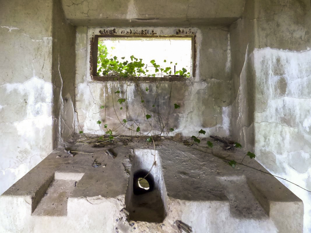 Ligne Maginot - B810 - MARIGOT - (Blockhaus pour canon) - 