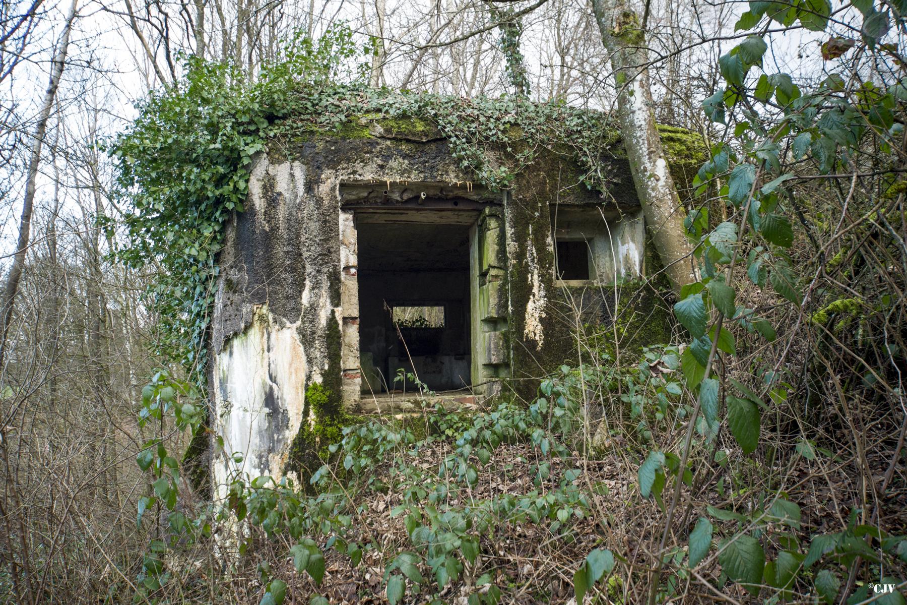 Ligne Maginot - B810 - MARIGOT - (Blockhaus pour canon) - 