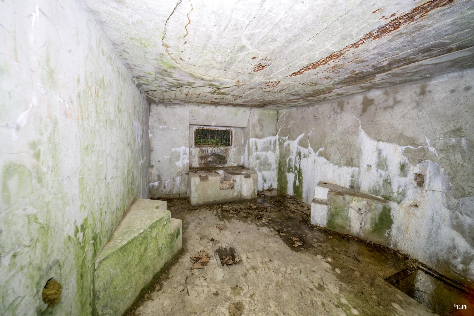 Ligne Maginot - B810 - MARIGOT - (Blockhaus pour canon) - 