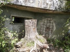 Ligne Maginot - B815 - LA FILATURE - (Blockhaus pour canon) - 