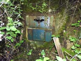 Ligne Maginot - B816 - LA MALTERIE - (Blockhaus pour canon) - Le blockhaus est recouvert par de la terre et des déblais mais de petites portions de béton sont toujours visibles. L'entrée est conservée mais est fermée car l'intérieur du blockhaus sert de refuge aux les chauve-souris.
