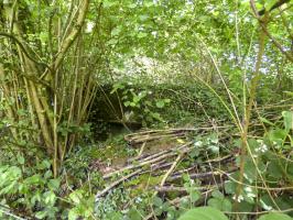 Ligne Maginot - B816 - LA MALTERIE - (Blockhaus pour canon) - 