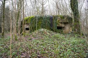 Ligne Maginot - B817 - LA GALOPERIE NORD - (Blockhaus pour canon) - 
