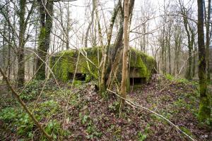 Ligne Maginot - B817 - LA GALOPERIE NORD - (Blockhaus pour canon) - 