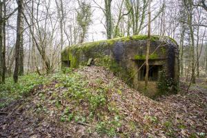 Ligne Maginot - B817 - LA GALOPERIE NORD - (Blockhaus pour canon) - 