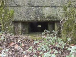 Ligne Maginot - BA2 - ETANG DE NEUVE-FORGE - (Blockhaus pour canon) - 