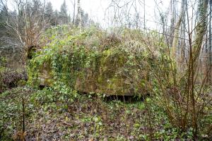 Ligne Maginot - BA3 - NEUVE-FORGE - (Blockhaus pour canon) - 
