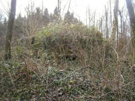 Ligne Maginot - BA3 - NEUVE-FORGE - (Blockhaus pour canon) - 