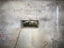 Ligne Maginot - BA3 - NEUVE-FORGE - (Blockhaus pour canon) - 