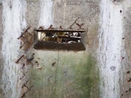 Ligne Maginot - BA3 - NEUVE-FORGE - (Blockhaus pour canon) - 