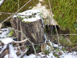 Ligne Maginot - BA3 - NEUVE-FORGE - (Blockhaus pour canon) - 