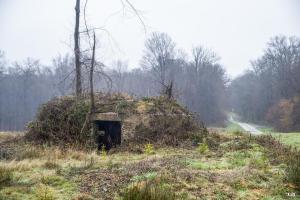 Ligne Maginot - BA4 - ROUTE DE NEUVE FORGE - (Blockhaus pour canon) - 
