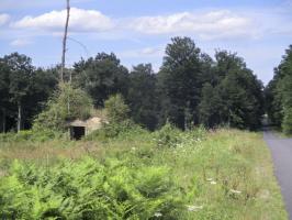 Ligne Maginot - BA4 - ROUTE DE NEUVE FORGE - (Blockhaus pour canon) - Blockhaus situé dans son environnement.
