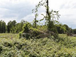 Ligne Maginot - BA4 - ROUTE DE NEUVE FORGE - (Blockhaus pour canon) - 