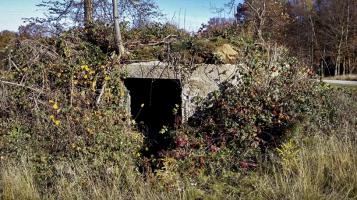 Ligne Maginot - BA4 - ROUTE DE NEUVE FORGE - (Blockhaus pour canon) - 
