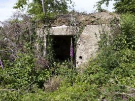 Ligne Maginot - BA4 - ROUTE DE NEUVE FORGE - (Blockhaus pour canon) - 