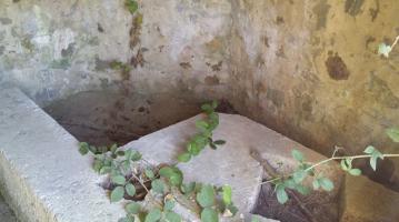 Ligne Maginot - BA4 - ROUTE DE NEUVE FORGE - (Blockhaus pour canon) - 
