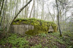 Ligne Maginot - BA8 - LE MAMELON - (Blockhaus pour canon) - 