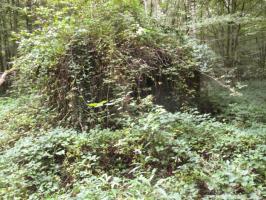 Ligne Maginot - BA9 - LAIE SYLVIE - (Blockhaus pour canon) - 
